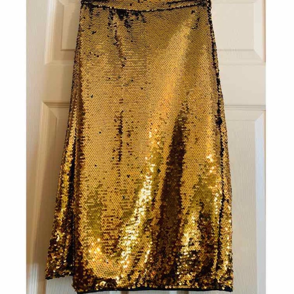 Party Skirt.